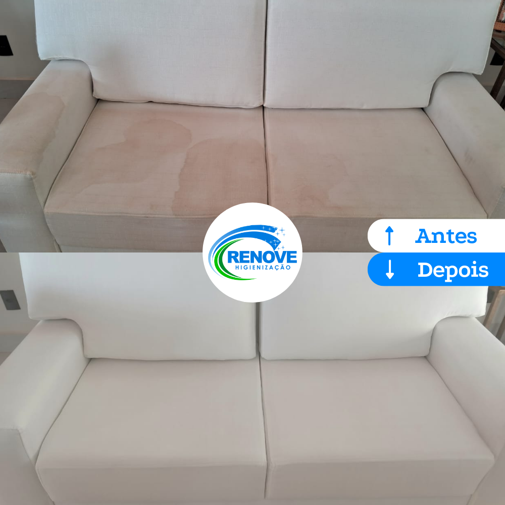 Renove-Higienizacao-16.png