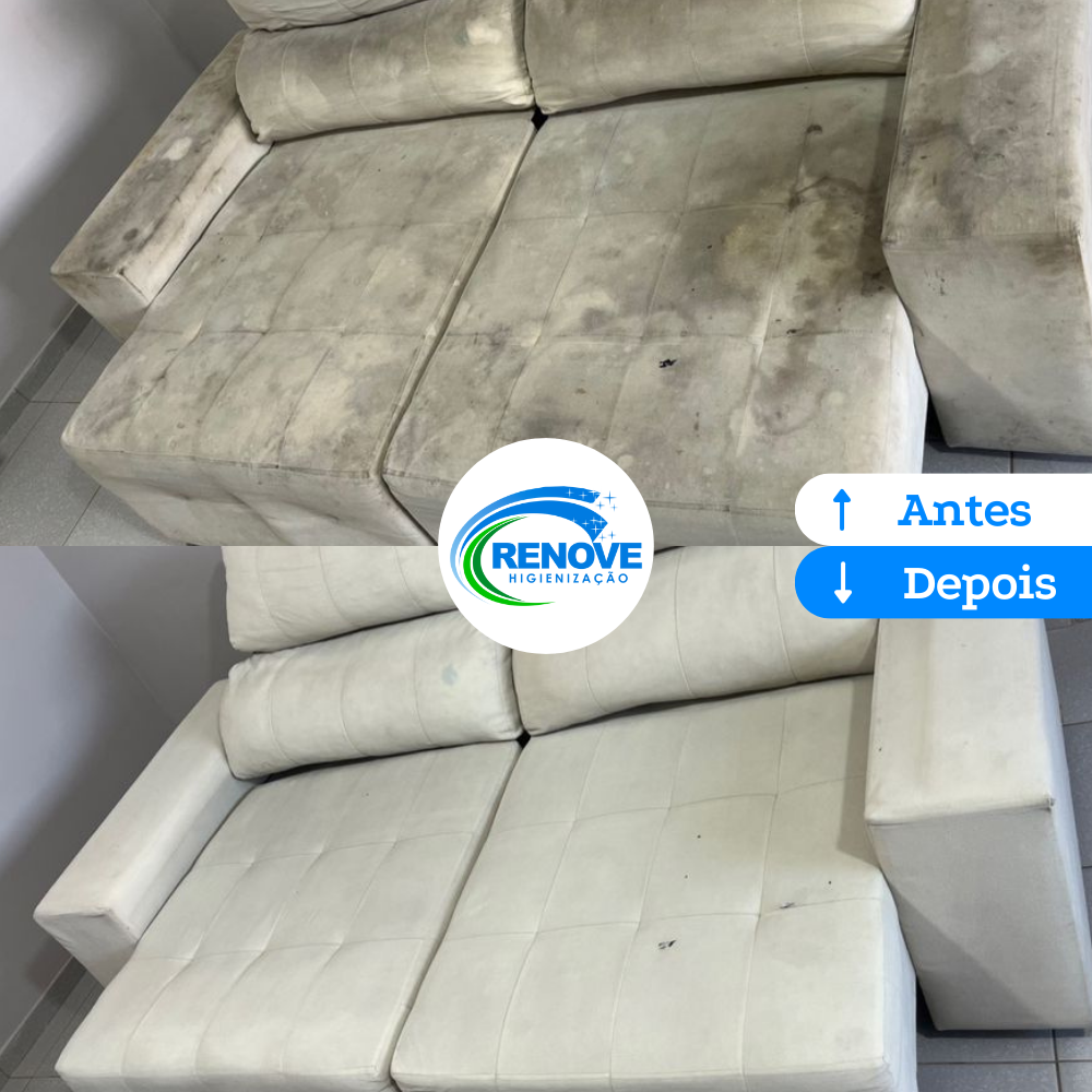 Renove-Higienizacao-7.png